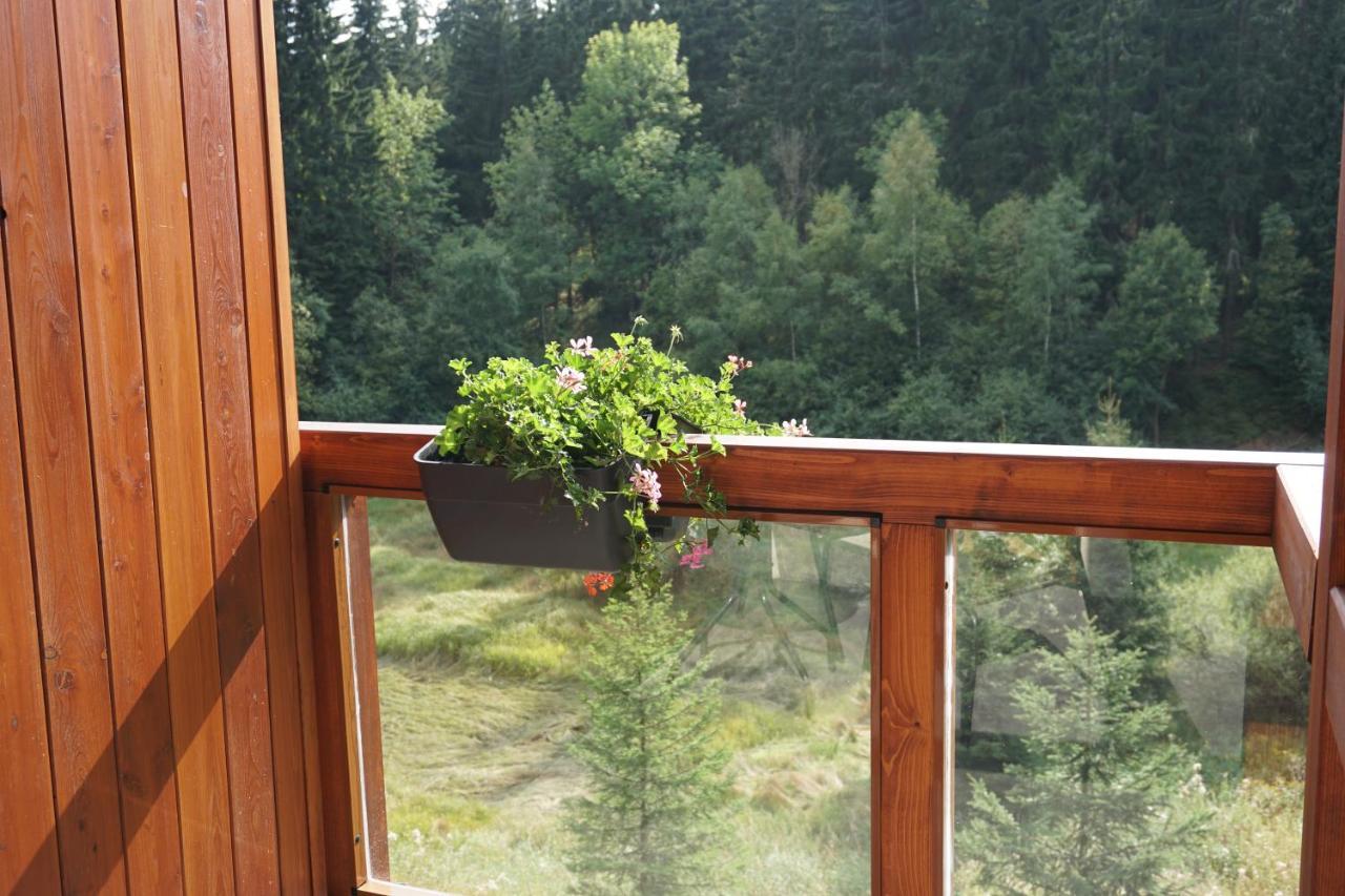 Jezirko Lesni Restaurant & Penzion Jáchymov Exterior foto