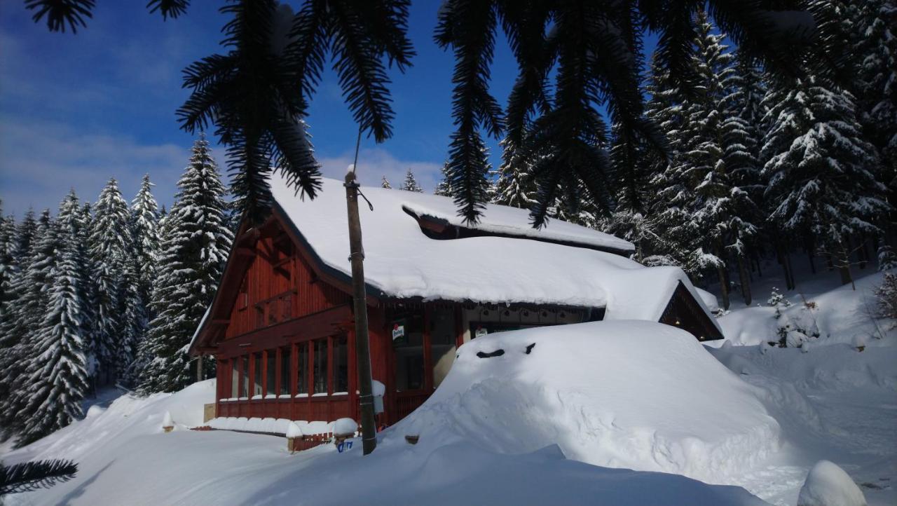 Jezirko Lesni Restaurant & Penzion Jáchymov Exterior foto